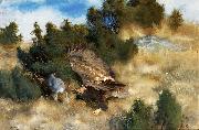 bruno liljefors orn jagande hare painting